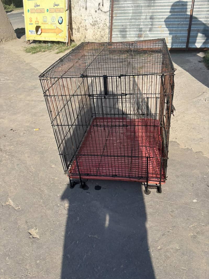 cages 5