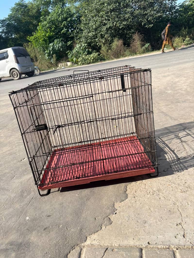 cages 6