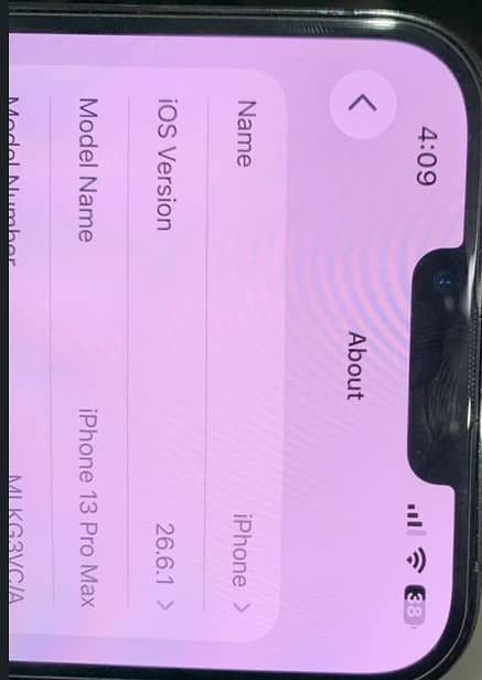 Apple iPhone 13 Pro Max 1