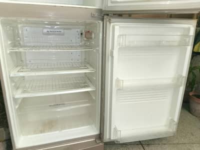 refrigerator fridge