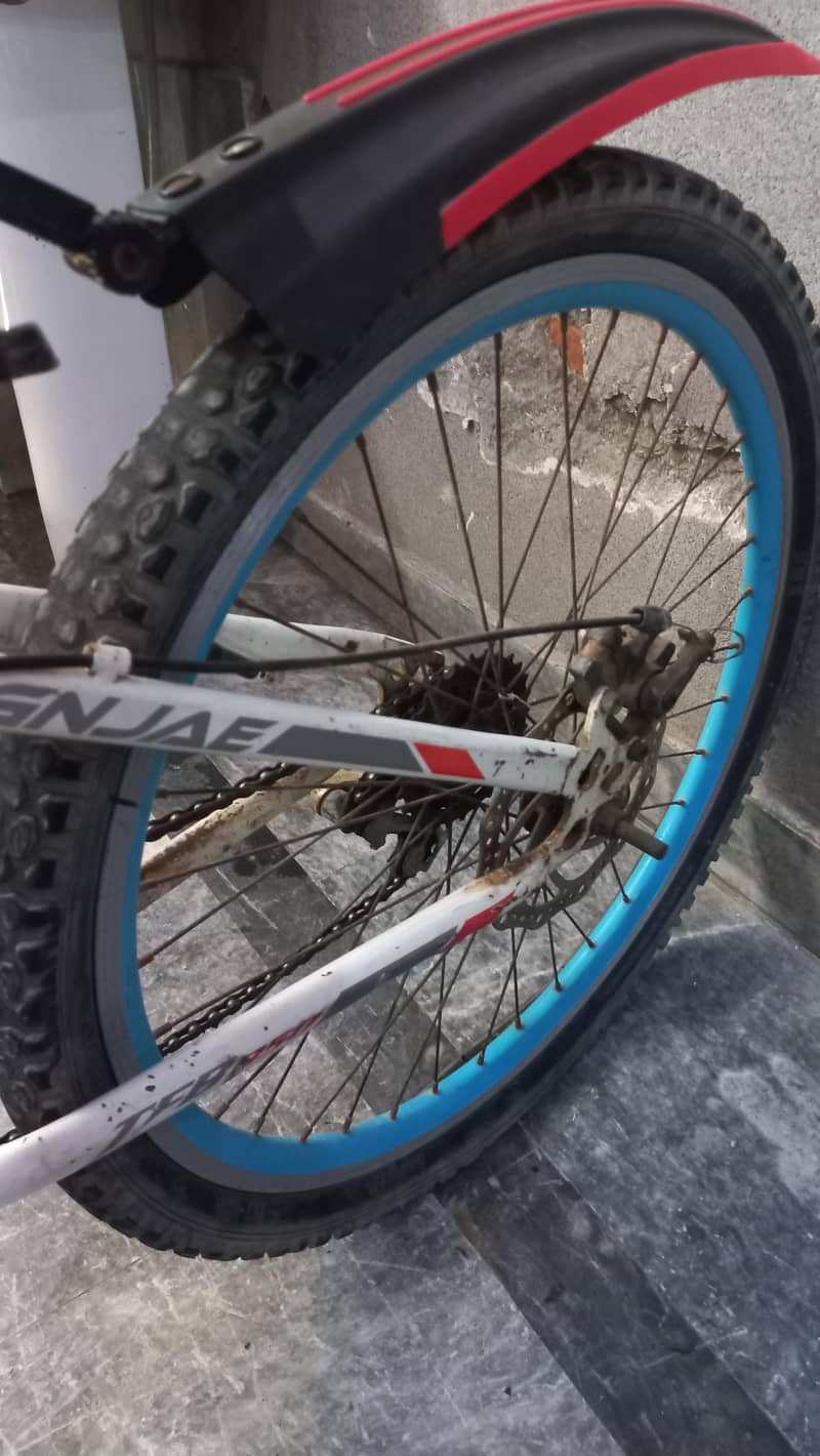 bicycle 3