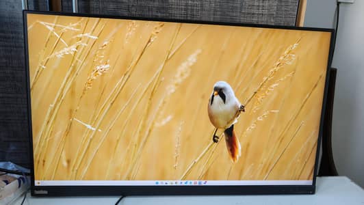 Lenovo Thinkvision 32 inch 4k P32-P20