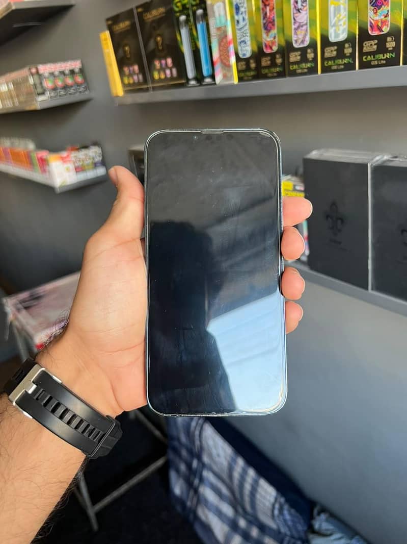 Apple iPhone 13 Pro Max 1