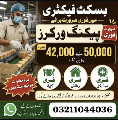 need urgent staff biscuits packing factory jobs male and females jobs