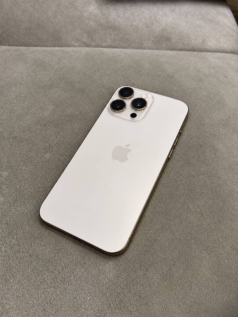 Apple iPhone 16 Pro Max 1
