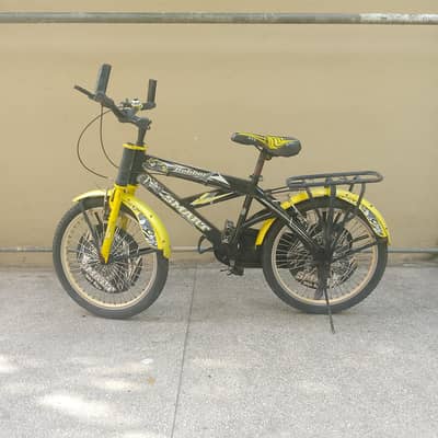 Smart Robber Kids Sports Bicycle / Mountain Cycle for Boys