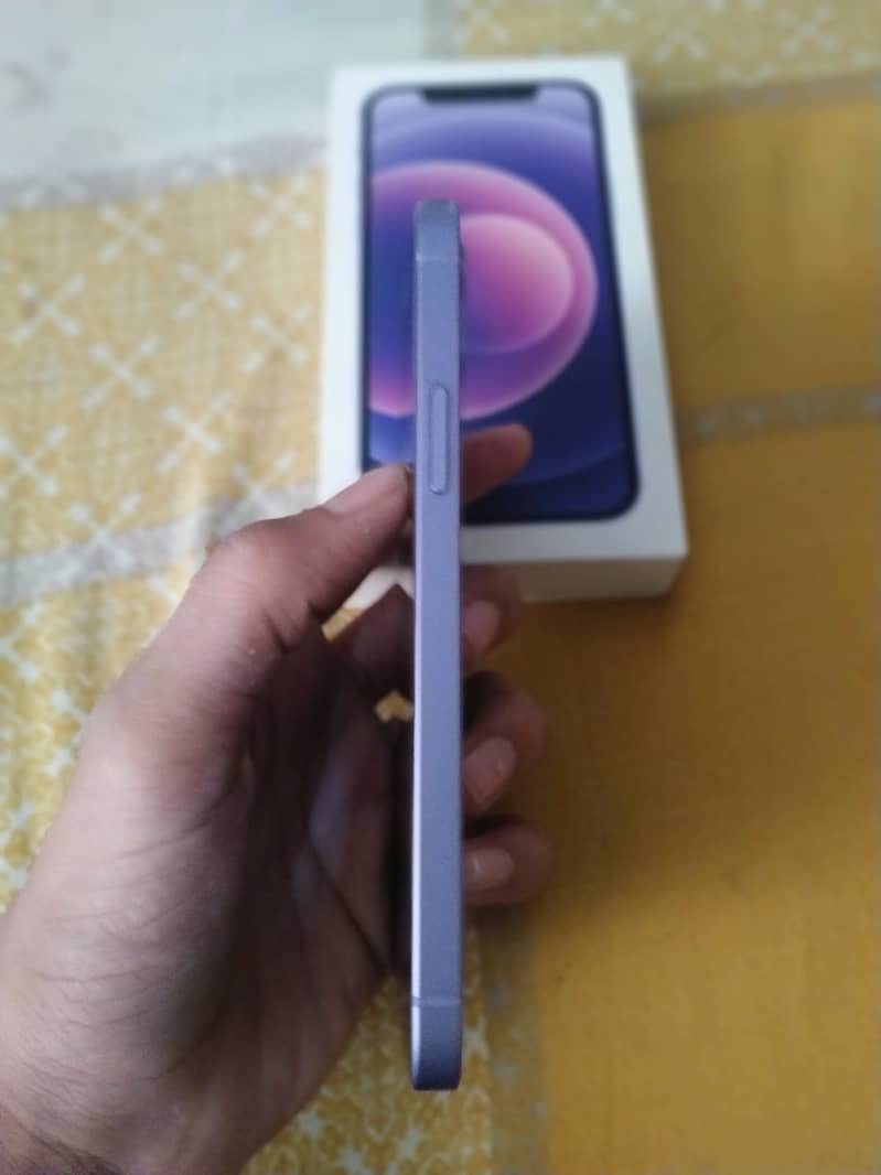 Apple iPhone 12 1
