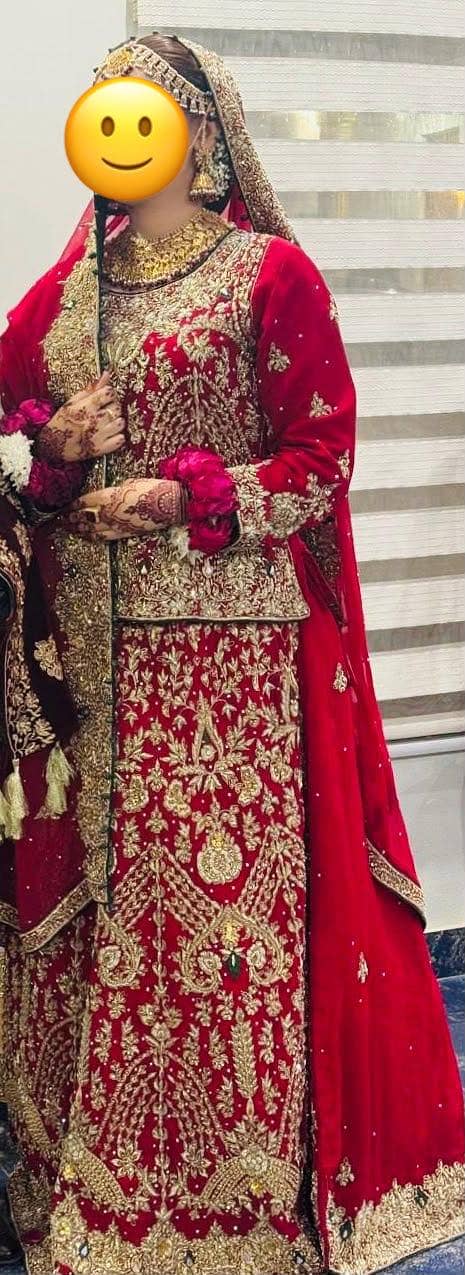 Lehnga 2