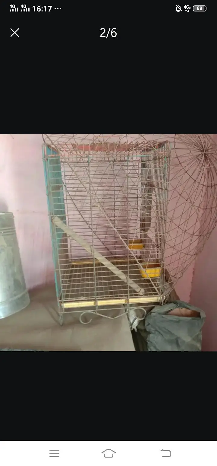 cage for sale — photo 4
