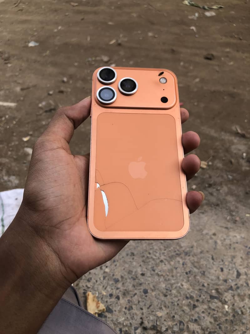 Apple iPhone Other Model 2