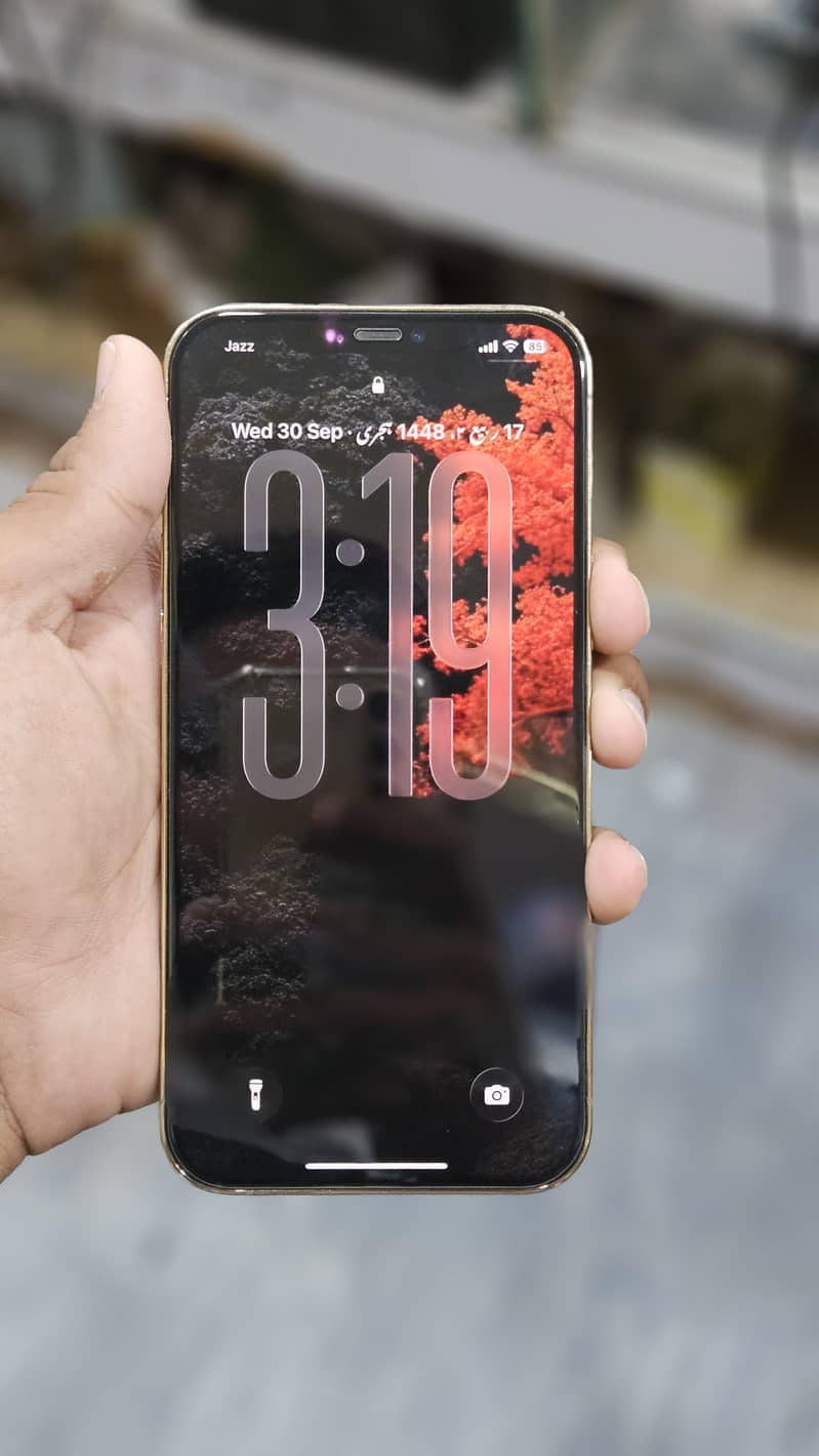 Apple iPhone 12 Pro Max 1