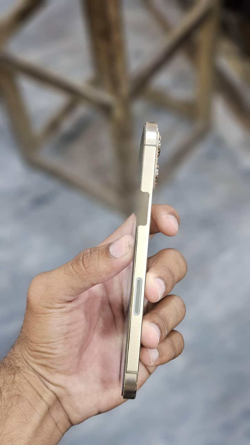 Apple iPhone 12 Pro Max 5
