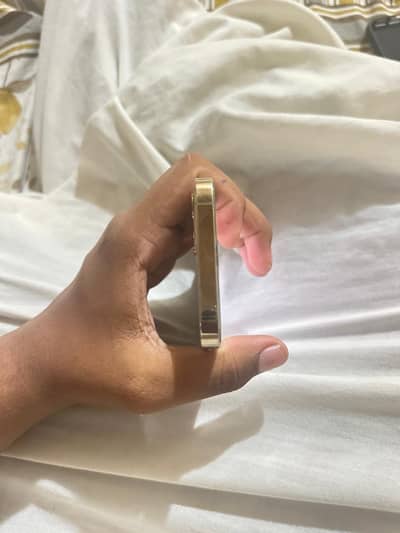 Apple iPhone 12 Pro