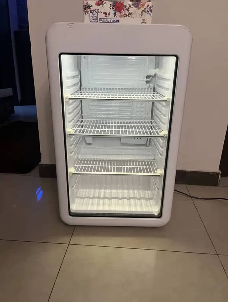 Mini fridge/Cooler 0