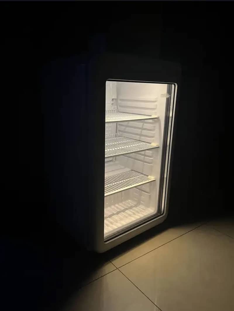 Mini fridge/Cooler 1