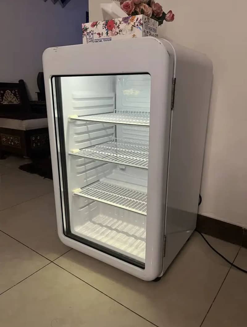 Mini fridge/Cooler 2