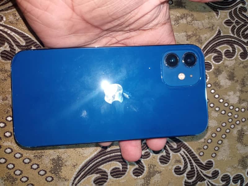 Apple iPhone 12 1