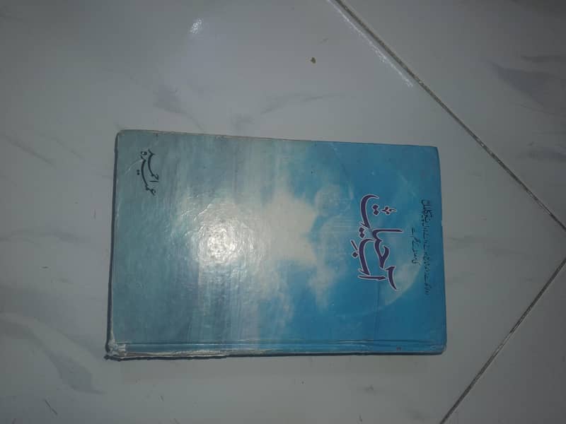 Novel 3