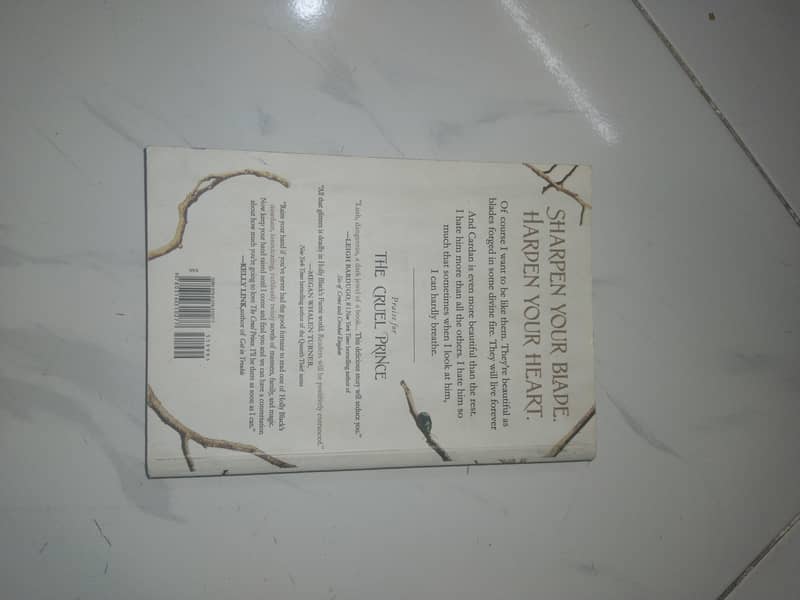 Novel 8