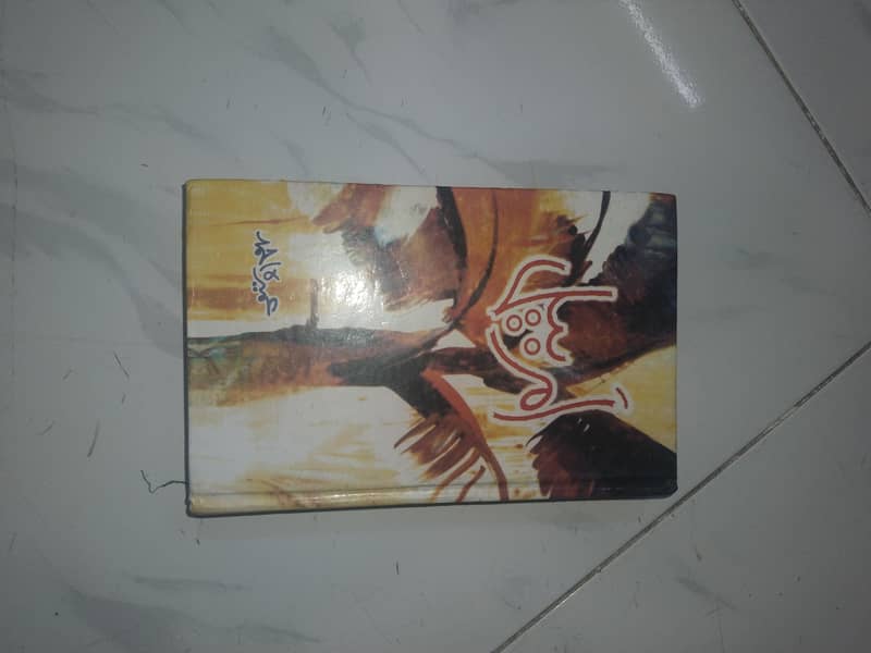 Novel 9