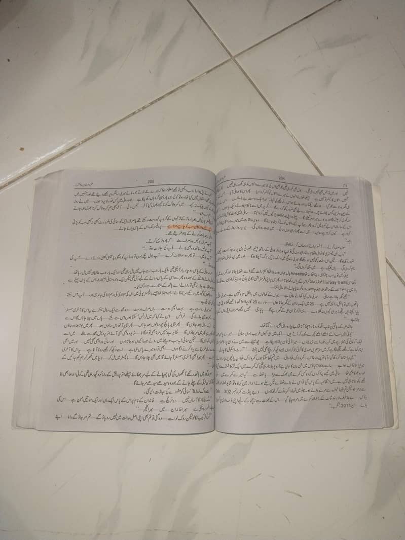 Novel 13