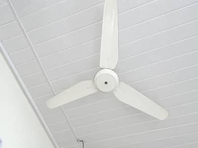 Sealing Fan + Chair table set for sale