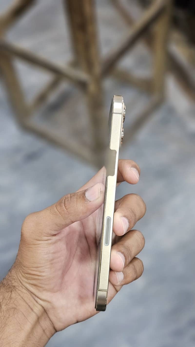 Apple iPhone 12 Pro Max 1