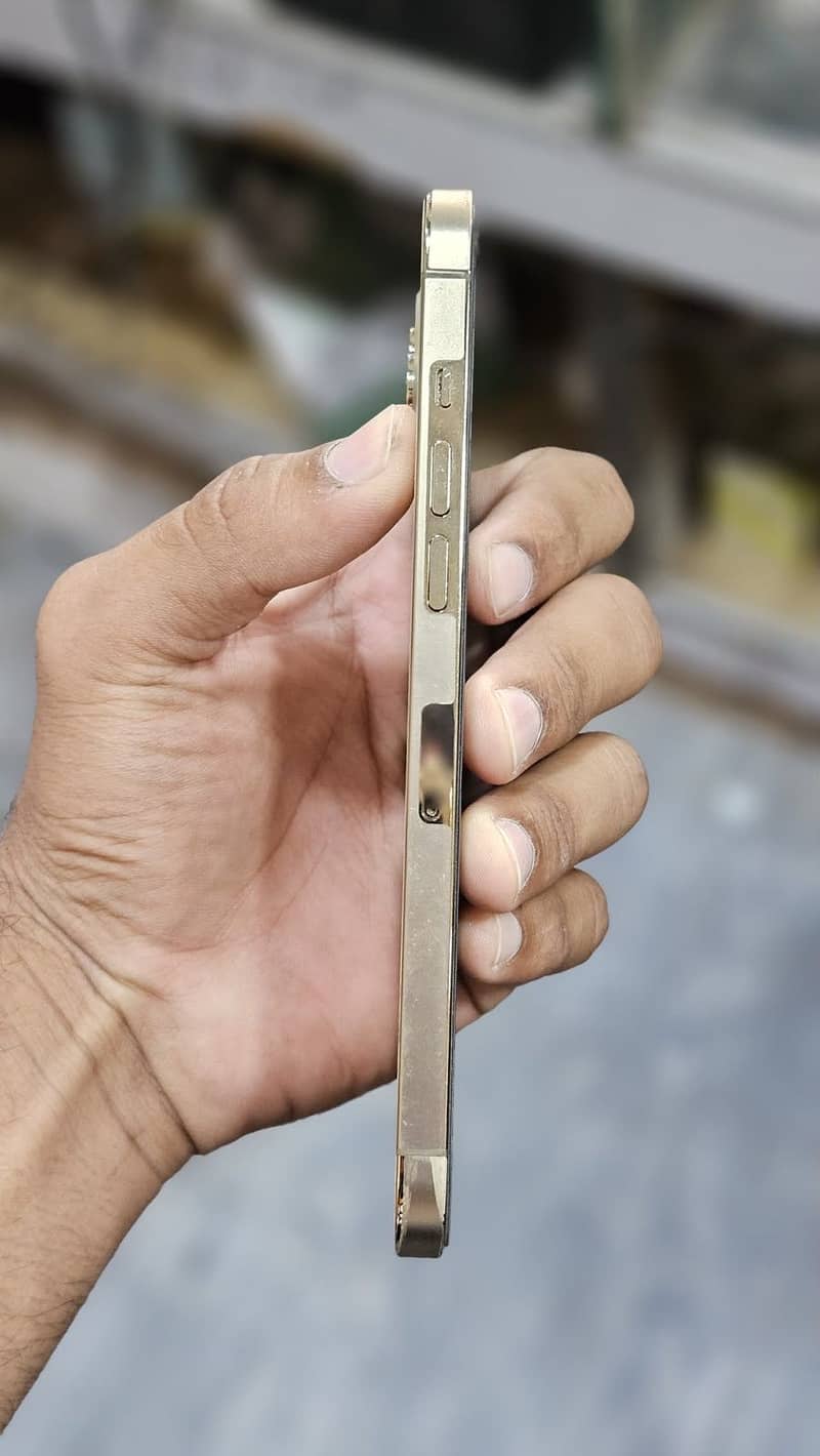 Apple iPhone 12 Pro Max 5