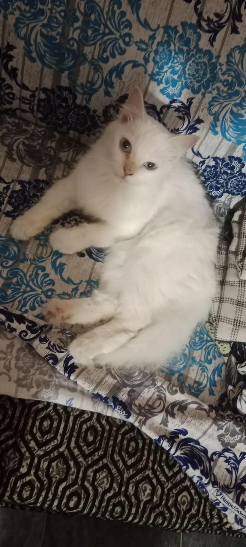 urgent sale — photo 2