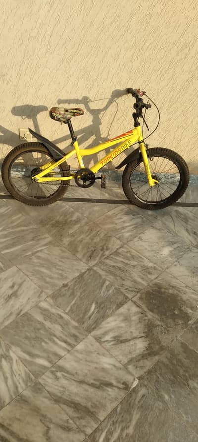 Top Kids Mountain Bike – Good Condition