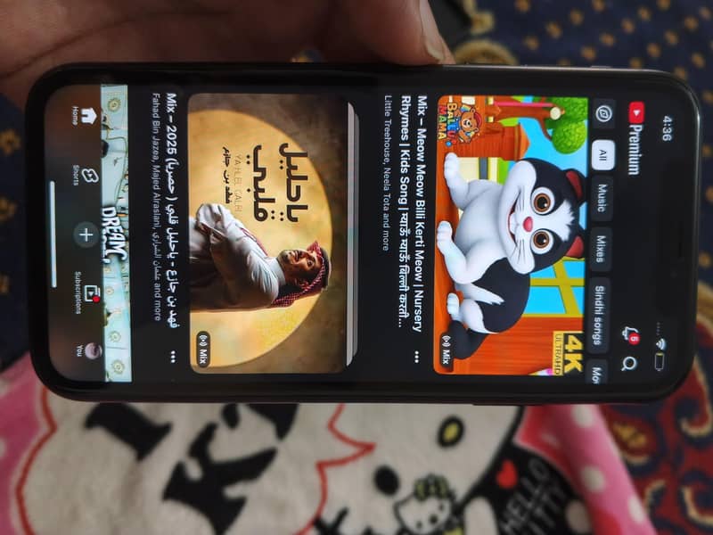 Apple iPhone XR 12