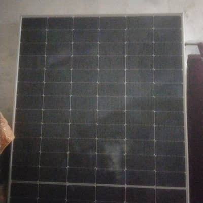 Reani solar