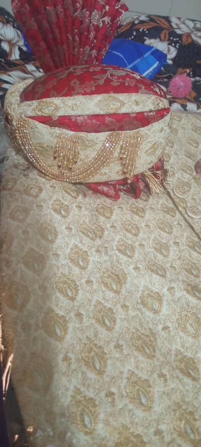 sherwani golden
