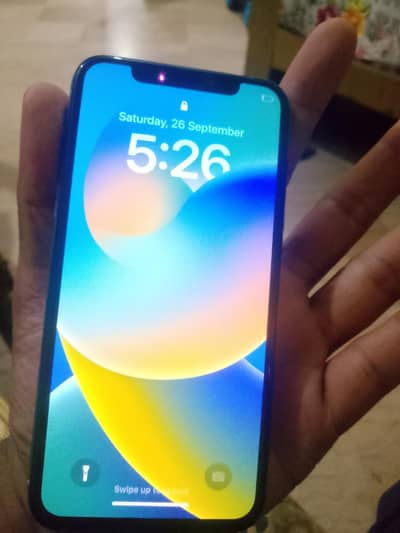 Apple iPhone X
