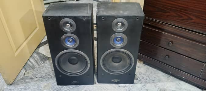 Pioneer speaker