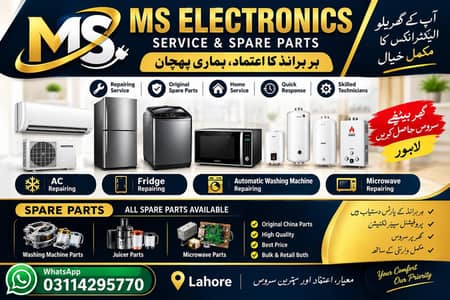 ms electronic