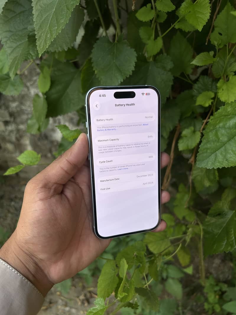 Apple iPhone 15 1