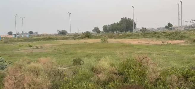 Corner + Facing Park Plot For Sale (Hot Location)
