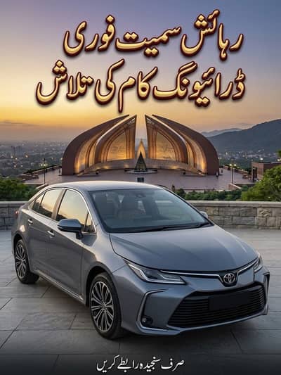 Need Driving Job