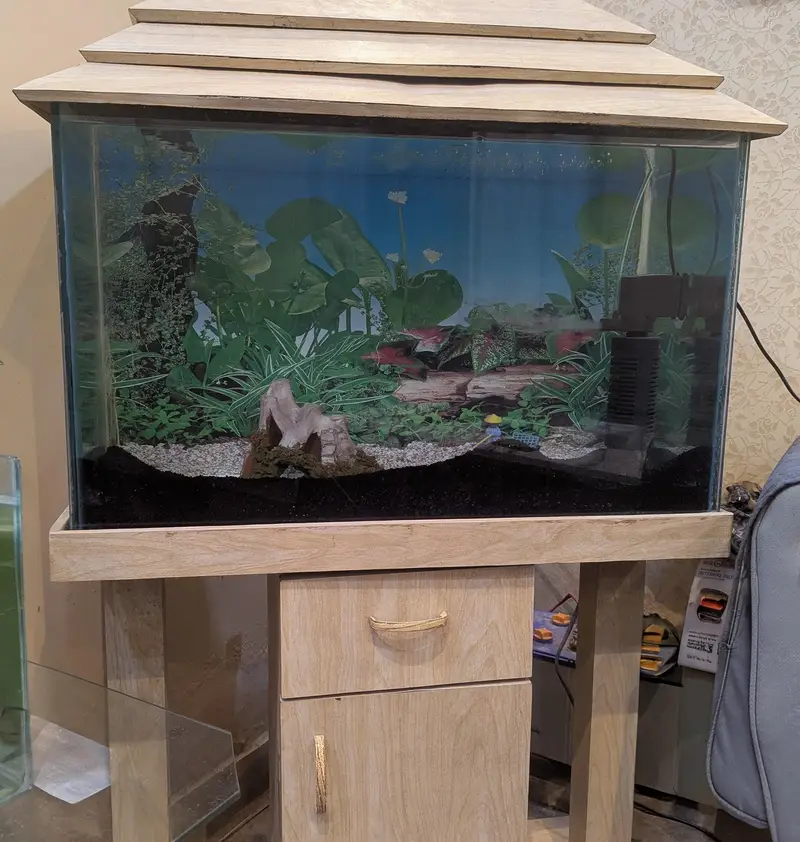 aquarium with filter n sand — photo 3