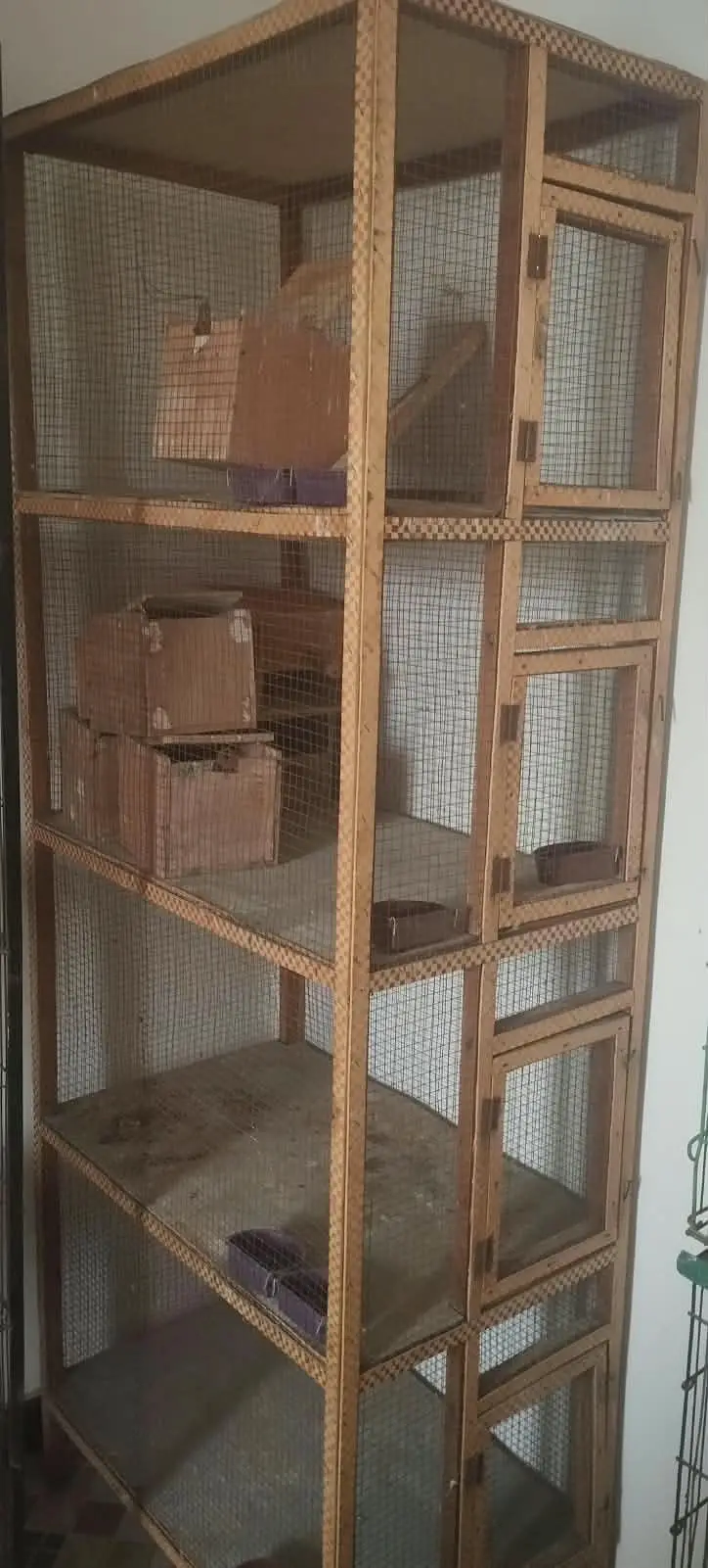 wooden cage Finch  love birds and pigeons