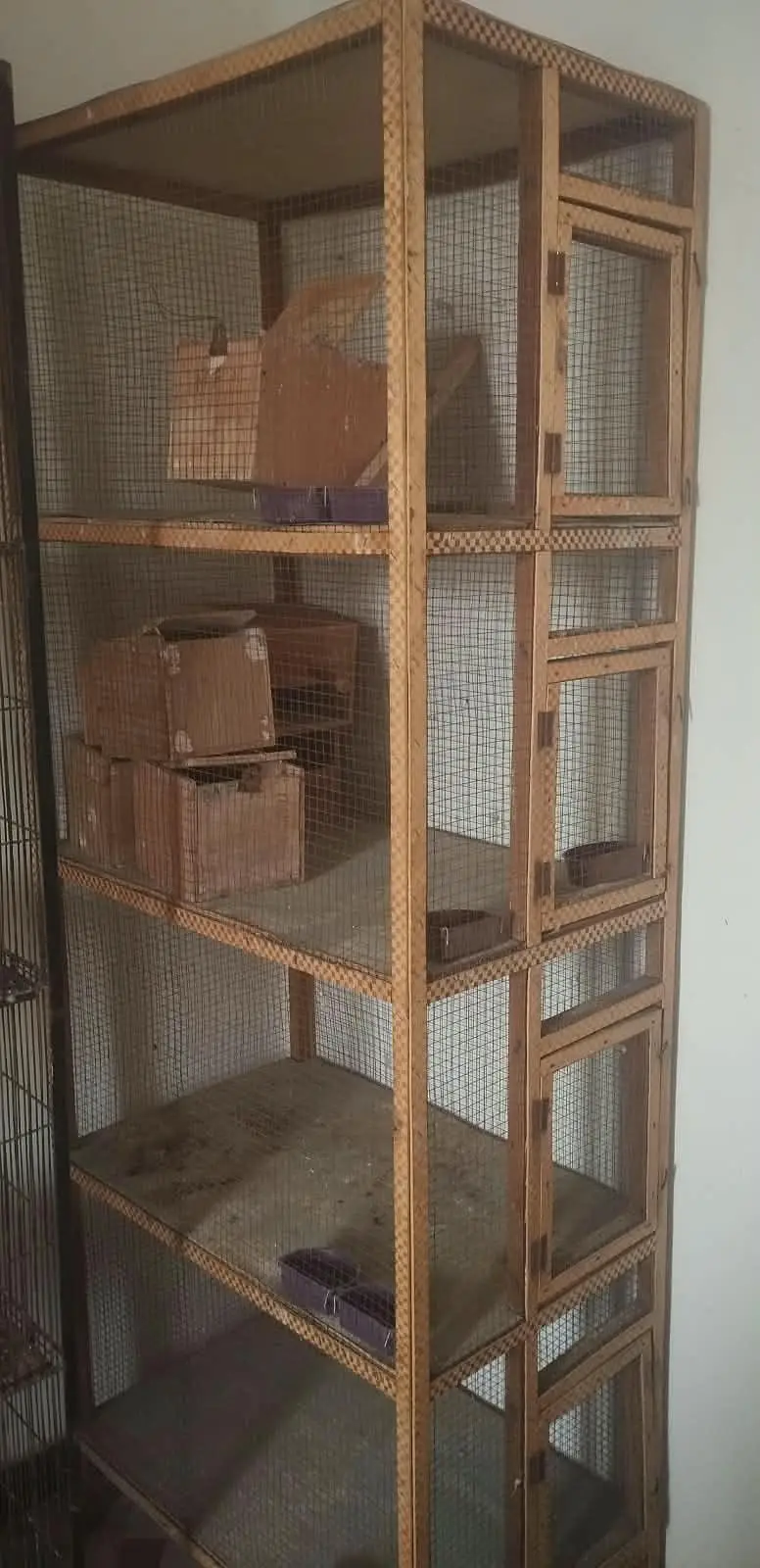 wooden cage Finch  love birds and pigeons — photo 2