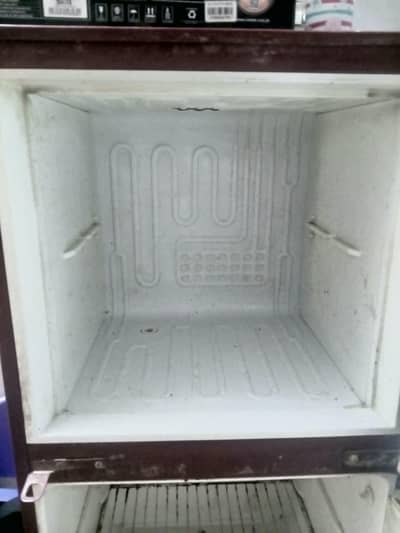 PEL GLASS DOOR