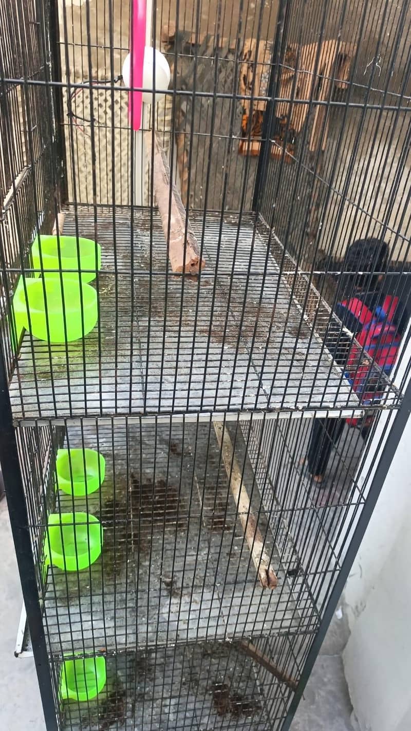 4 portion cage 1