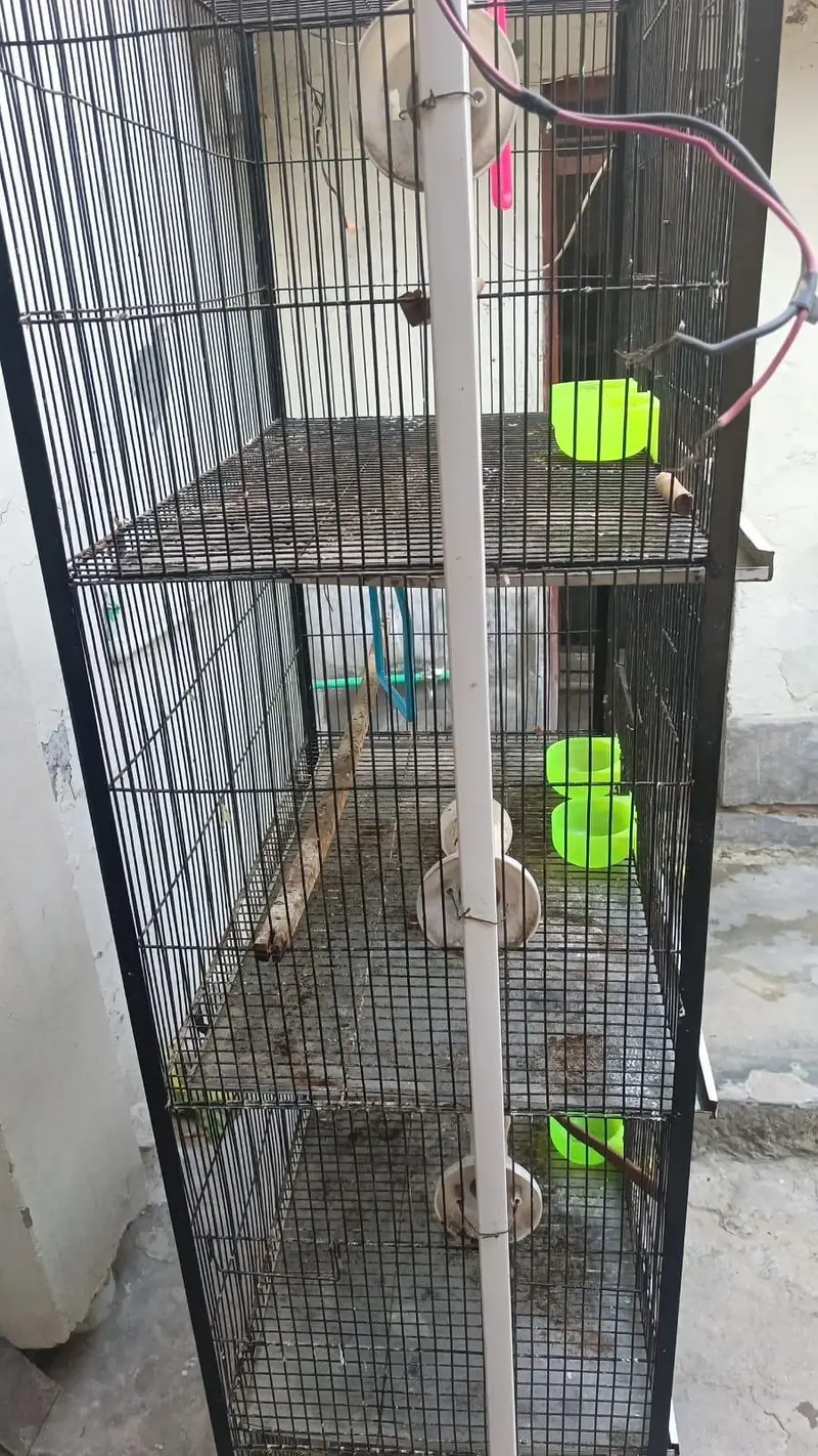 4 portion cage — photo 3