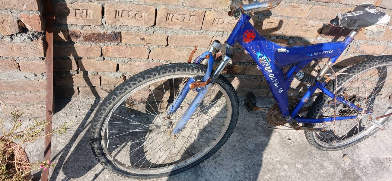bicycle 1