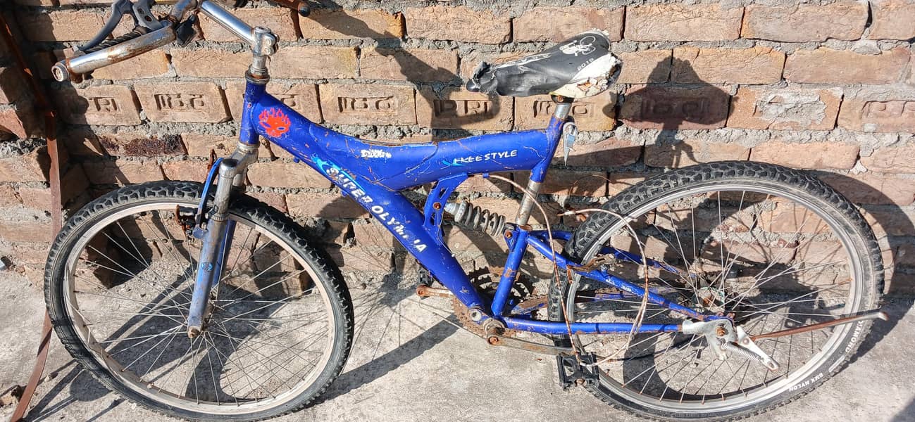 bicycle 2