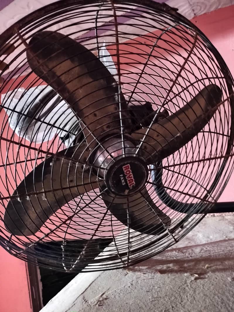 copper fan 1
