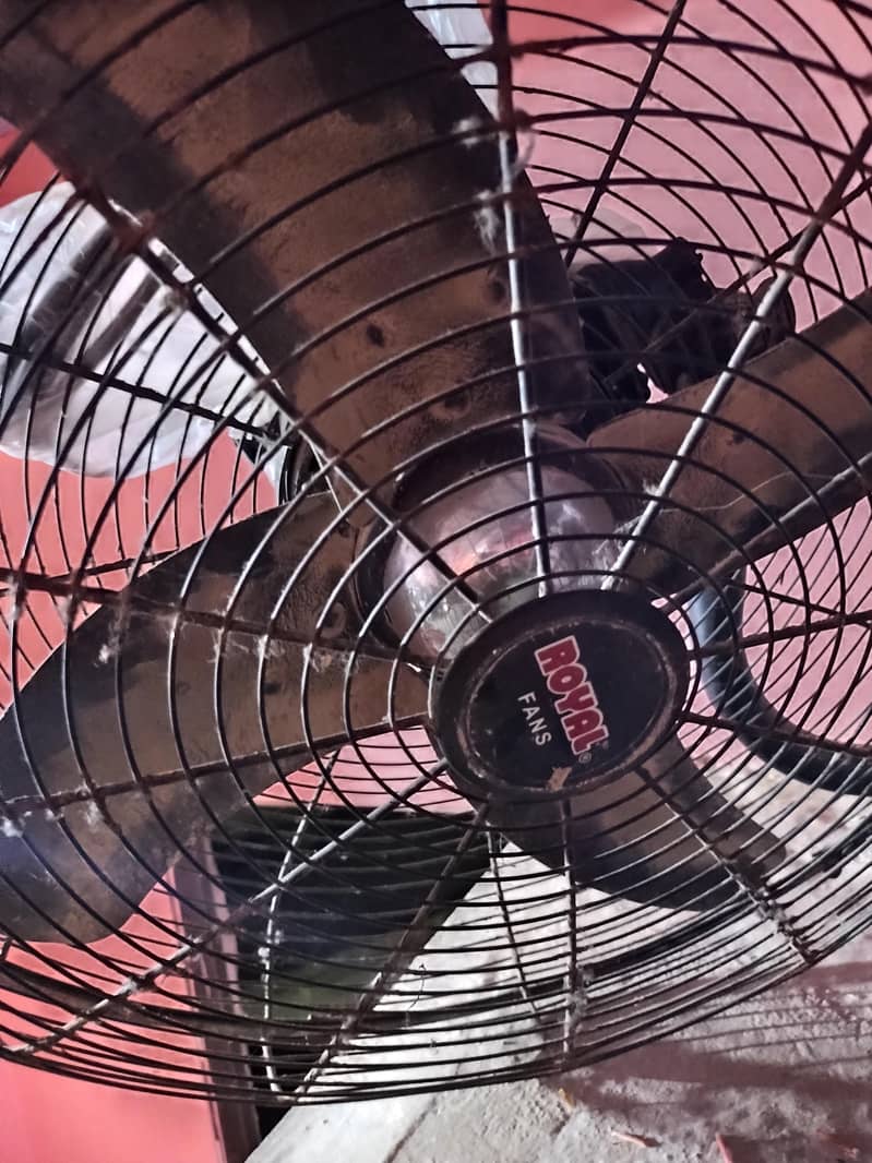copper fan 3