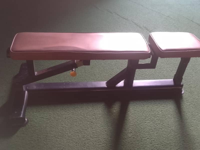 Adjustable Bench 1